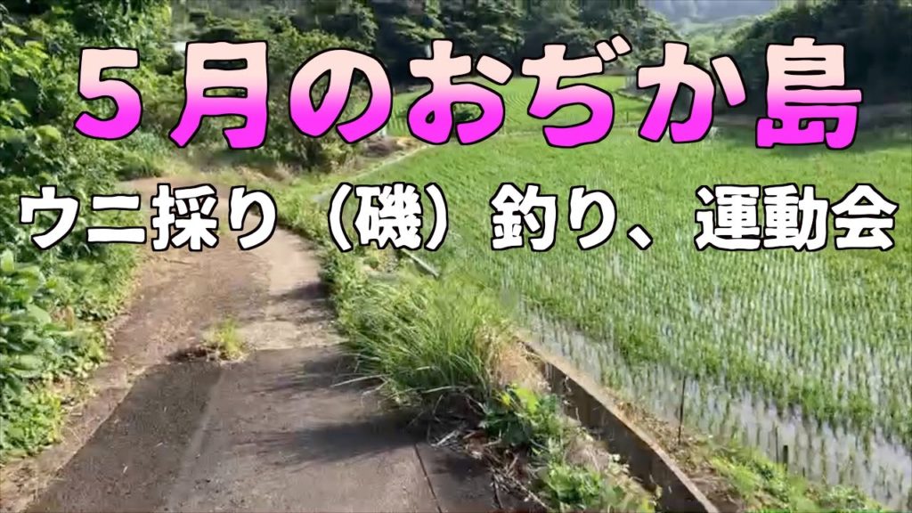 【Vlog】おぢか島ライフ、宿ライフ5月も最高でした【地方移住、離島移住】 【Vlog】おぢか島ライフ、宿ライフ5月も最高でした【地方移住、離島移住】