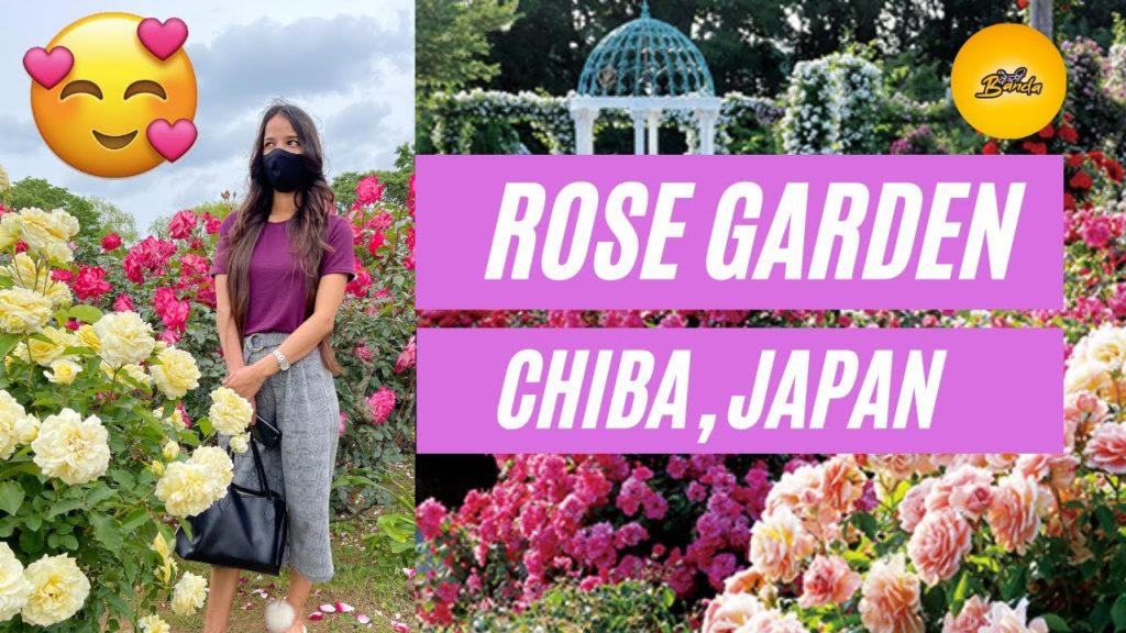A DAY IN ROSE GARDEN CHIBA, JAPAN ( HINDI )