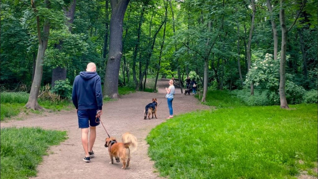 Vienna Walk, I Walk Into The Green Lung Of Vienna – The Prater – | 4K HDR | ASMR Vienna Walk, I Walk Into The Green Lung Of Vienna - The Prater - | 4K HDR | ASMR