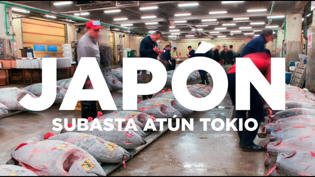 Subasta Atún Tokio | Mercado de Tsukiji