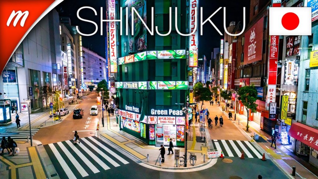 Shinjuku Station, Zara, BICQLO and more | TOKYO WALKING TOURS