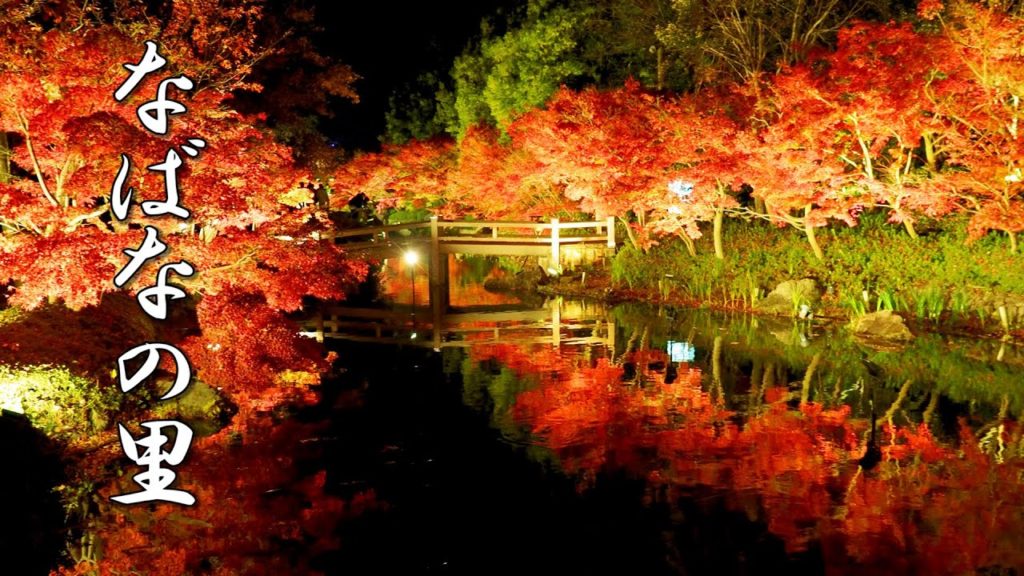 MIE. Nabana-no-Sato Nights of Lights | 2020 – 2021 #4K #なばなの里 #冬に咲くユリ MIE. Nabana-no-Sato Nights of Lights | 2020 - 2021 #4K #なばなの里 #冬に咲くユリ