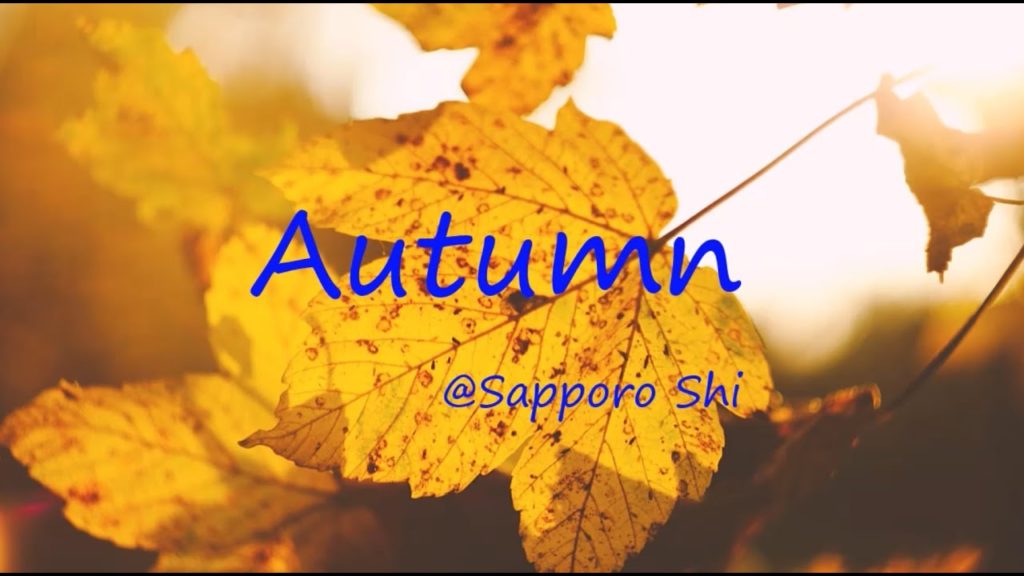 AUTUMN ∣ SAPPORO