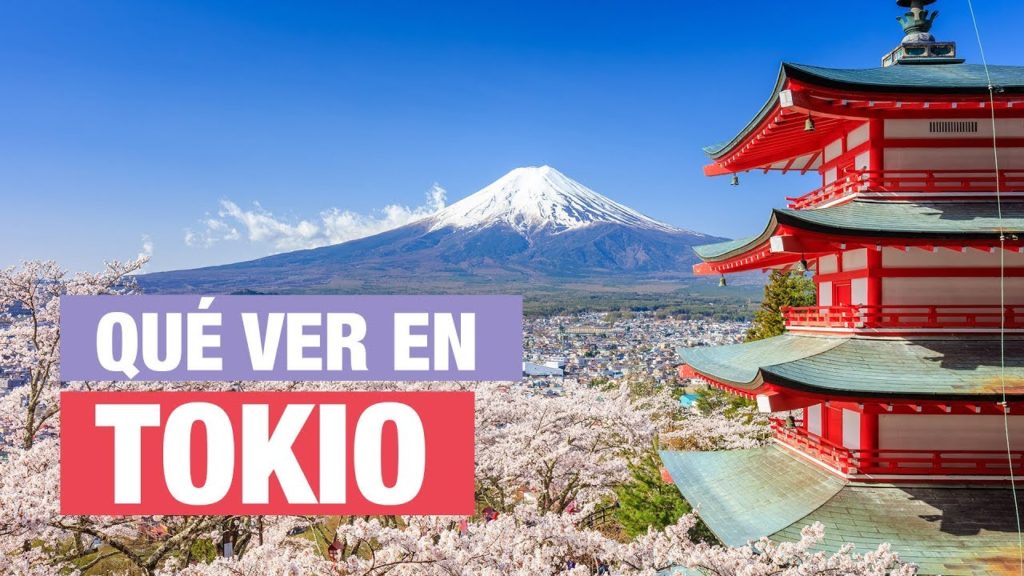 Qué ver en Tokio  | 10 Lugares imprescindibles 🇯🇵