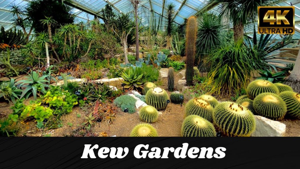 What's inside of KEW GARDENS || UK london walk ||  kew gardens walking tour part1