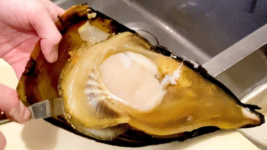 Japanese Street Food - Giant Mussels Sashimi Seafood Tokyo