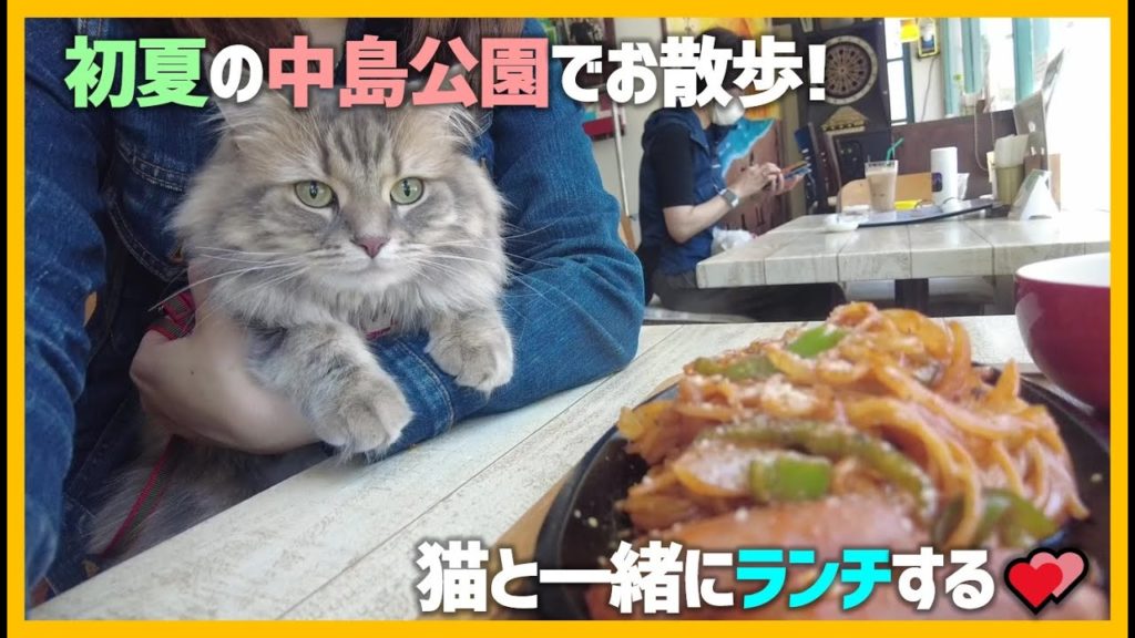 【札幌猫さんぽ】初夏の中島公園でお散歩!猫と一緒にランチできるレストランとともに 【札幌猫さんぽ】初夏の中島公園でお散歩!猫と一緒にランチできるレストランとともに