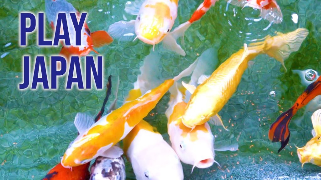 Play Japan | Fukui, Ishikawa, Toyama, Niigata | JNTO