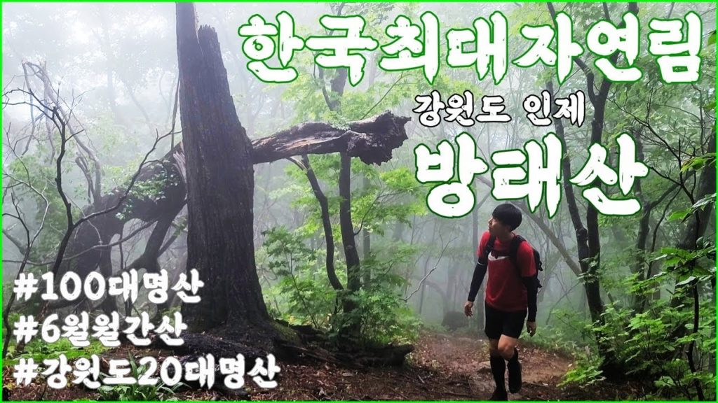 등산 강원도 인제 방태산 최단코스 우중산행 한국 최대 자연림 |6월 월간산 |100대명산|여름 산행 추천|korea hiking|hiking in korea|
