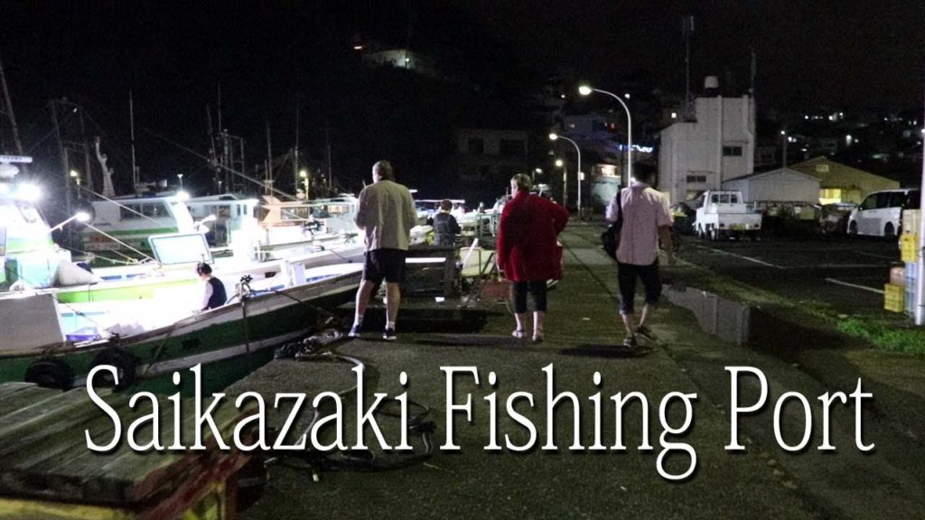 Saikazaki Fishing Port / Travel Japan 2 KOALA from DOWN UNDER うろうろ和歌山