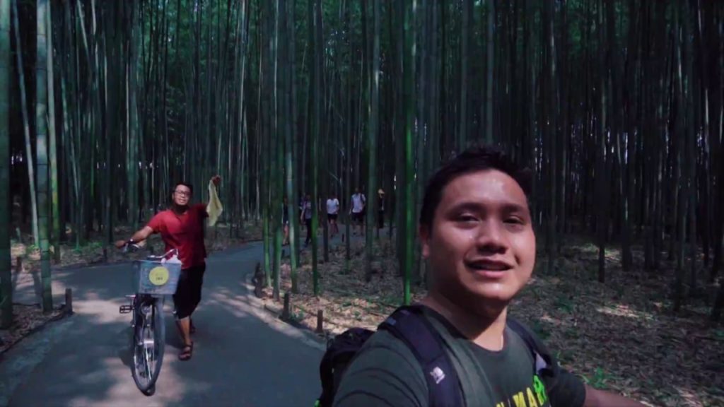 Day Trip to Kyoto Bamboo Forest : Arashiyama