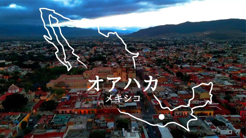 【4K】三十路デジタルノマド中南米旅暮らし#33 メキシコ/オアハカ Mexico Oaxaca travel vlog digitalnomad ラテンアメリカ 一人旅 【4K】三十路デジタルノマド中南米旅暮らし#33 メキシコ/オアハカ Mexico Oaxaca travel vlog digitalnomad ラテンアメリカ 一人旅