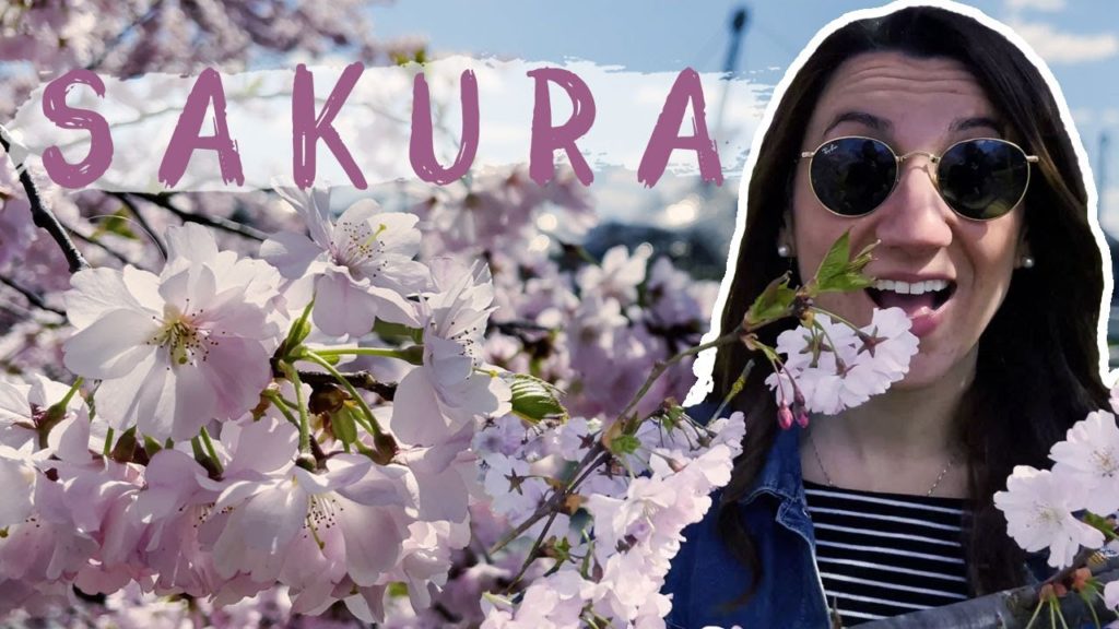 SAKURA in Europe 🌸 Imaginary travel to Japan day 2