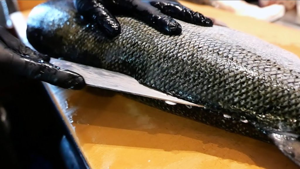 Japanese Food - GIANT SALMON AND SEA BREAM SASHIMI En Japanese Brasserie NYC