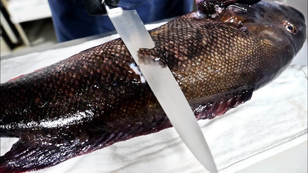 HALIBUT AND BLACKFISH - The Shipwright’s Daughter Connecticut Seafood