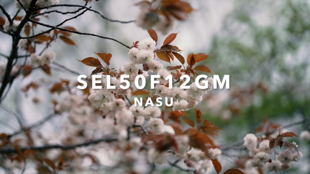 SEL50F12GM[FE 50mm F1.2 GM]レビュー作例/那須旅行 リゾナーレ那須/SONY A7SIII