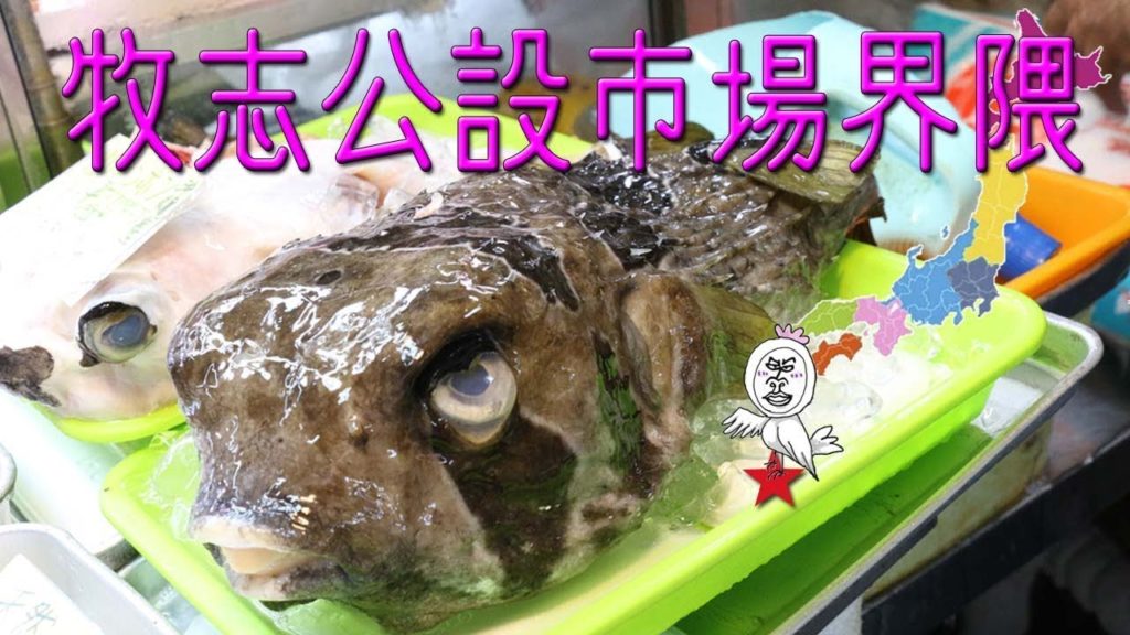 国際通りから牧志公設市場界隈【 Travel Japan うろうろ沖縄 】那覇市平和通り商店街 国際通りから牧志公設市場界隈【 Travel Japan うろうろ沖縄 】那覇市平和通り商店街