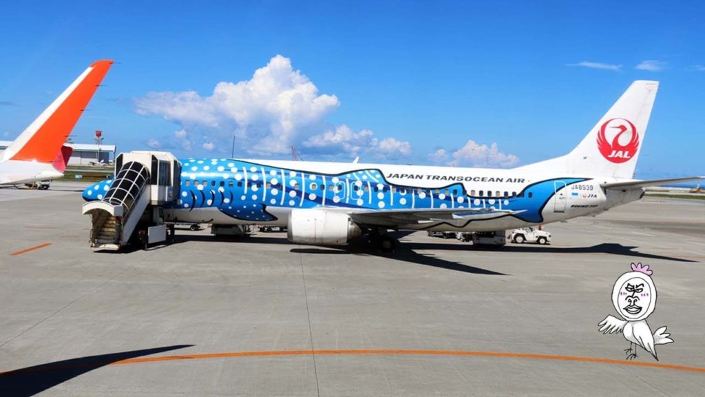 JAL　ジンベイザメの飛行機【 Travel Japan うろうろ沖縄 】 美ら海水族館