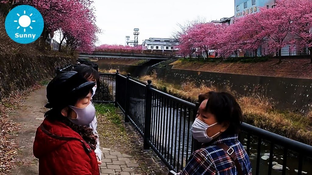 Shizuoka: Kakegawa (掛川市) - Japan Walking Tour (March 7, 2021)