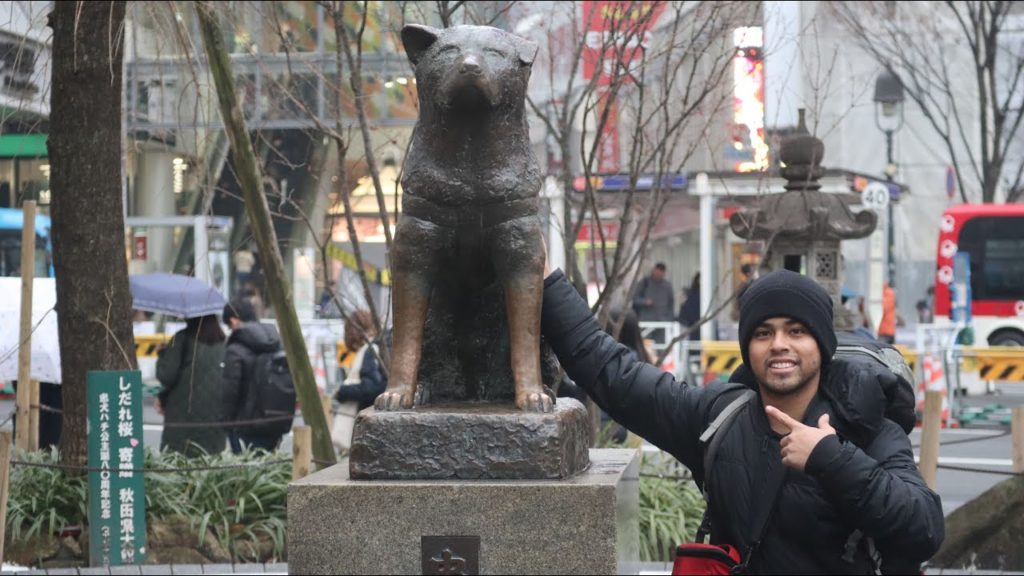 Tokyo Travel Vlog - Travel Guide | First Time in Japan