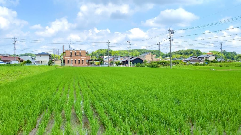 4K Japan Walk – Countryside Village | Neighborhood Walking Tour | Nisshin City, Aichi 14/6/2021 #1 4K Japan Walk - Countryside Village | Neighborhood Walking Tour | Nisshin City, Aichi 14/6/2021 #1