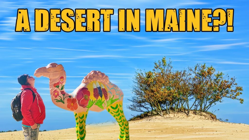 Lost In The Desert…Of Maine! | Travel Vlog During The Pandemic Lost In The Desert...Of Maine! | Travel Vlog During The Pandemic