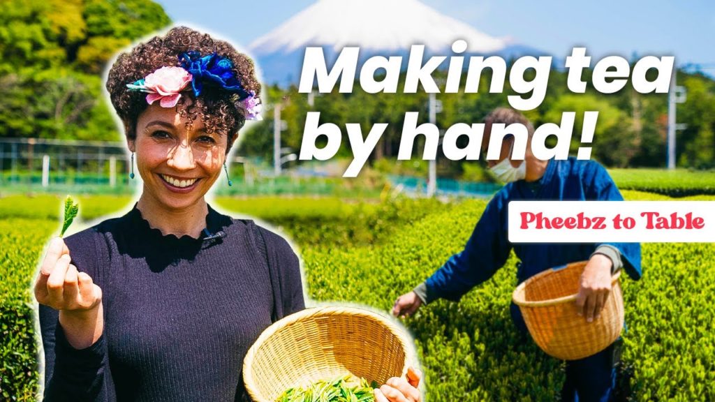 How Japanese Green Tea is Made Beneath Mt. Fuji How Japanese Green Tea is Made Beneath Mt. Fuji