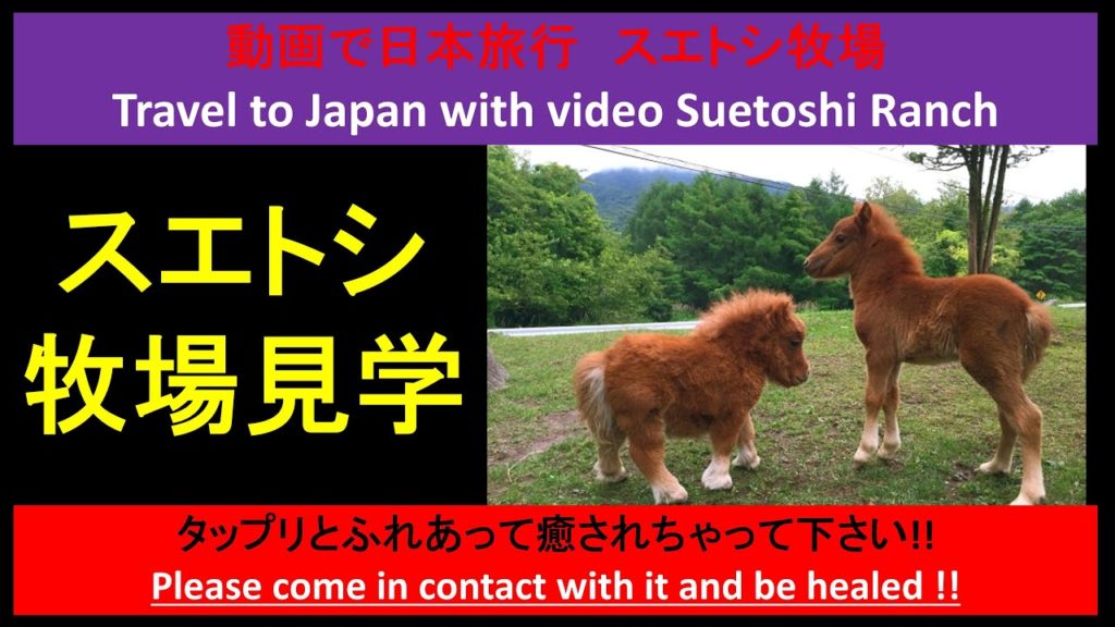 #スエトシ牧場 で #動物と #ふれあい動物園 #長野 #At Suetoshi Ranch #Animal and #Fureai Zoo #Nagano