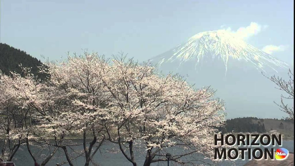 FULL HD 1080P 日本 富士山 Mt.Fuji , Japan 山 山頂 積雪 花 植物 櫻花 aq0000517 FULL HD 1080P 日本 富士山 Mt.Fuji , Japan 山 山頂 積雪 花 植物 櫻花 aq0000517