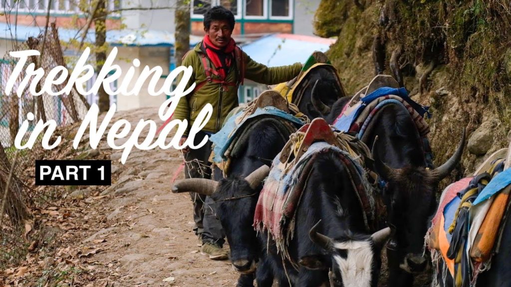 Part 1 – Our Attempt at the Three Passes Trek in Nepal | Lukla to Tengboche Part 1 - Our Attempt at the Three Passes Trek in Nepal | Lukla to Tengboche