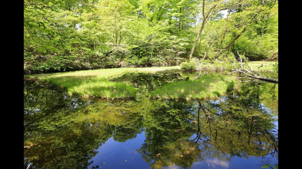 JG☆☆☆☆8K HDR 新潟 佐渡ドンデン山、日本有数の花の谷アオネバ渓谷、大佐渡スカイライン Sado, Dondenyama, Aoneba, Osado Skyline