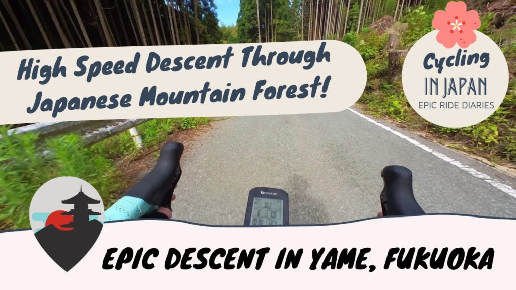 High Speed EPIC Descent. Riding Through Mountain Forests in Fukuoka, Japan サイクリング 福岡