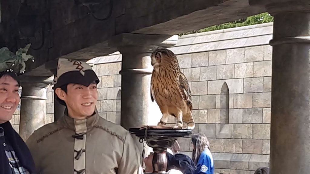 My trip to Japan in 2018! Japanuary Compilation Montage