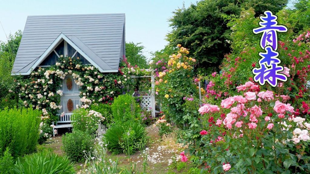 【Private Residence】Private Gardens of Citizens in Aomori Prefecture. Open Garden 2021. #4K #オープンガーデン 【Private Residence】Private Gardens of Citizens in Aomori Prefecture. Open Garden 2021. #4K #オープンガーデン