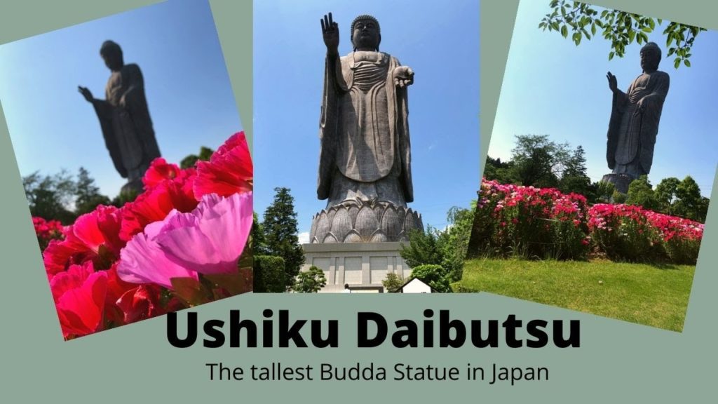 Ushiku Buddha.牛久大仏 / Travel EN Video