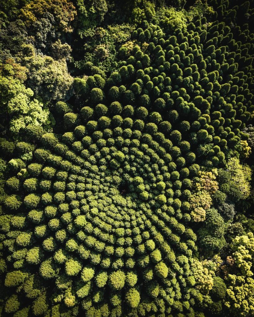 Sometimes it takes a bird's eye view to really appreciate what's down below. We'...