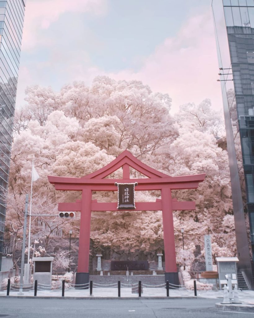 Maths Equation: (nature + urban + traditional) x pastel = ???...