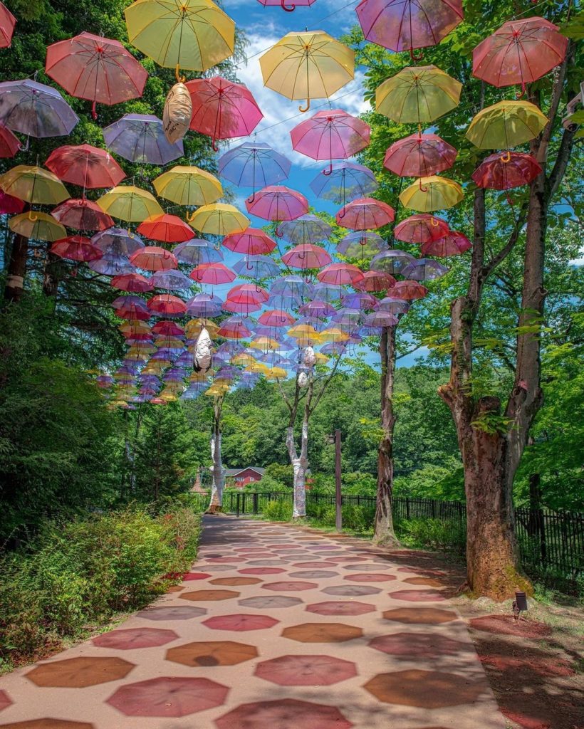 Japan Travel: We love this creative way of adding some color to the rainy season! Saitama’s Mo… We love this creative way of adding some color to the rainy season! Saitama's Mo...