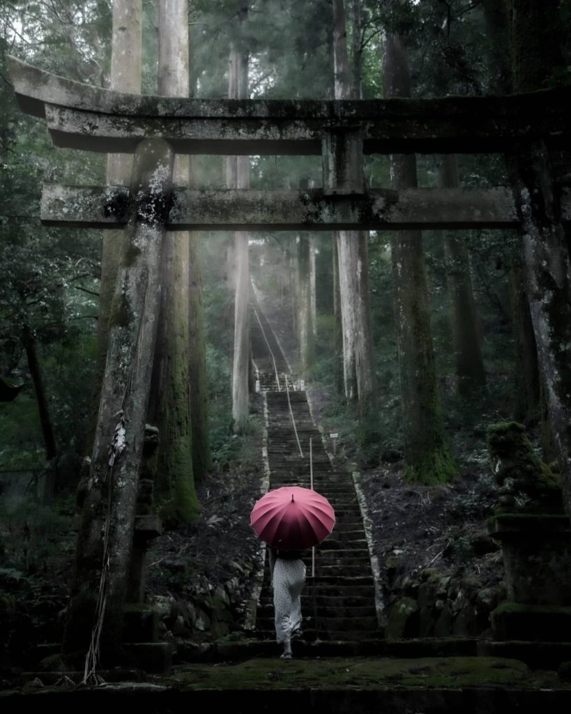 Sacred climb with nothing but an umbrella 
This stunning moss-covered Torii Gate...