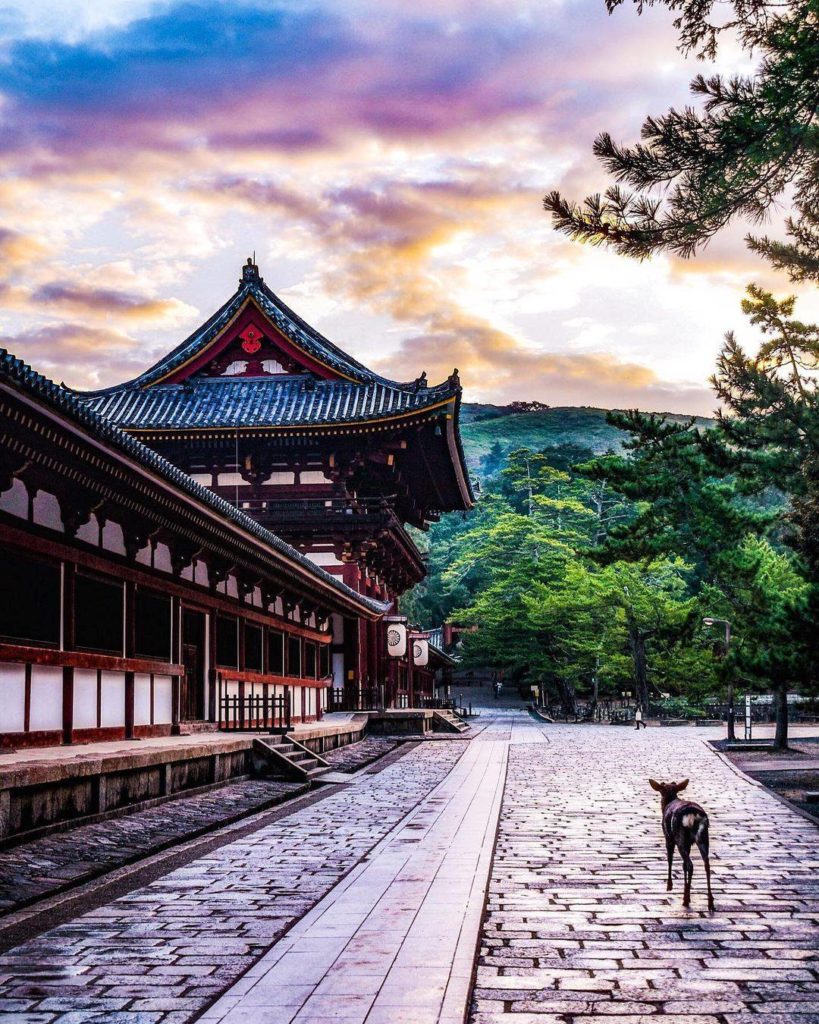 Japan Travel: A moment of tranquility at Nara’s Todaiji Temple. 
: @mana_27riviera
—–β£β 
#Na… A moment of tranquility at Nara's Todaiji Temple. 
: @mana_27riviera
-----β£β 
#Na...