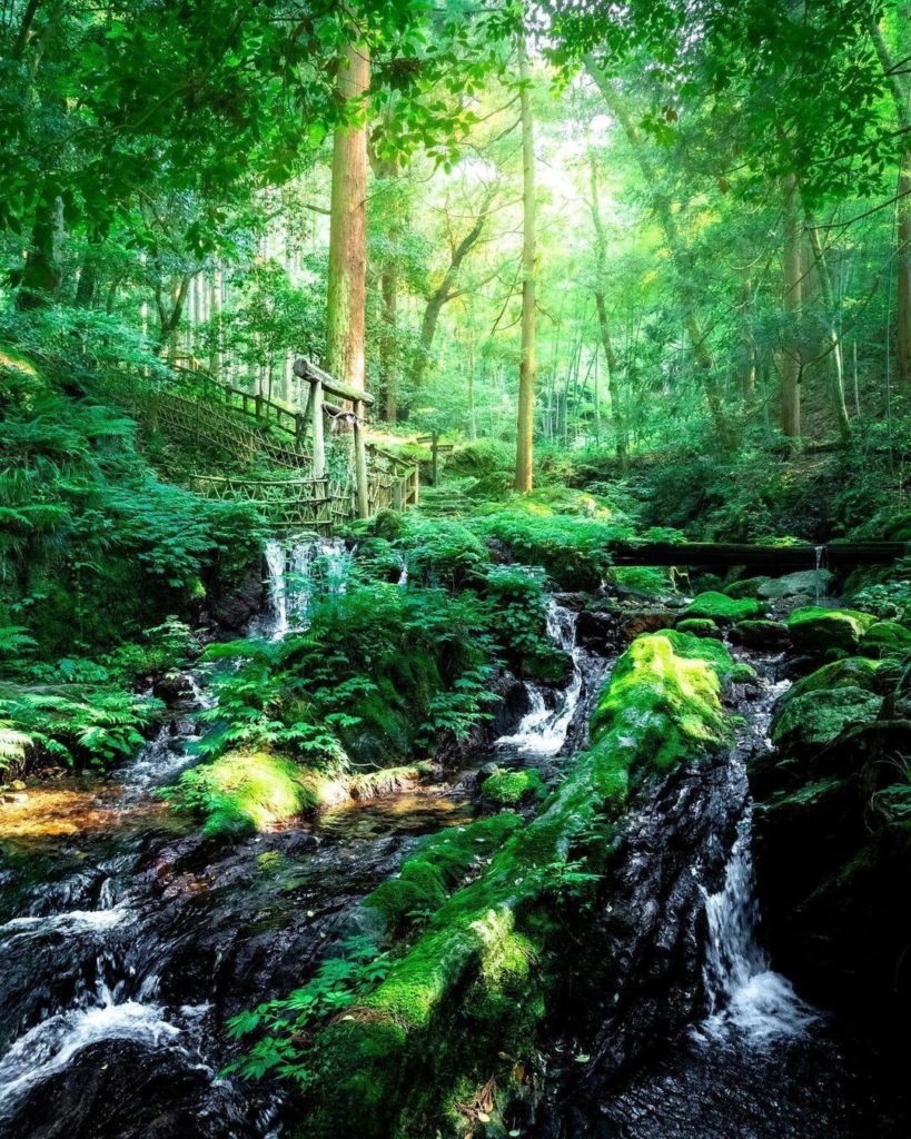 A river of the divine 
On a hot June day, taking a hike by a forest waterfall ca...