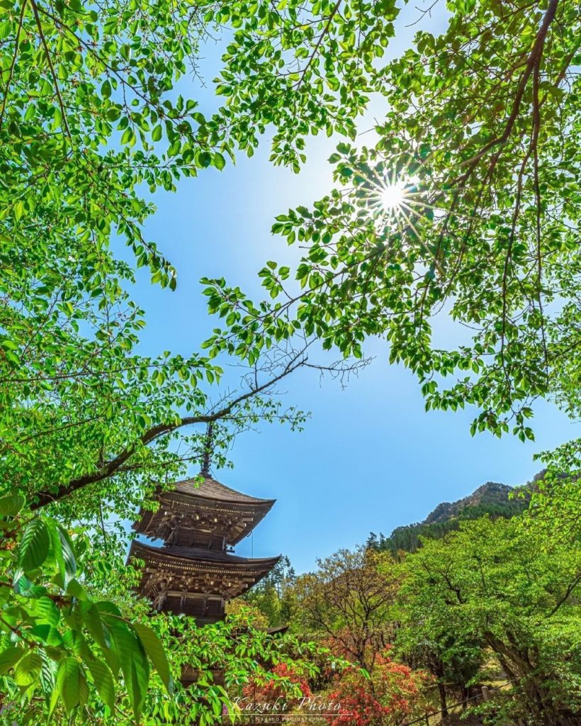 Perfectly combining the natural and the artificial 
The fresh green leaves that ...