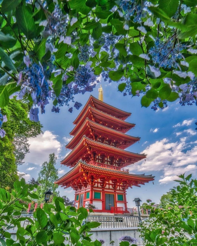 Visit Japan: What a flawless flowery frame!
This is the Five-storied Pagoda of Takahata-Fudo… What a flawless flowery frame!
This is the Five-storied Pagoda of Takahata-Fudo...