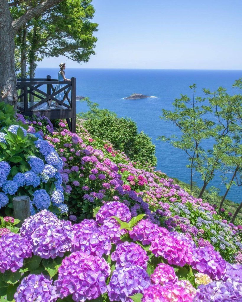 If teleportation was a thing, we'd opt to be in this corner of Miyazaki Prefectu...