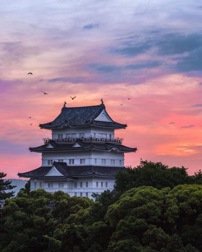 Sunrise at Odawara Castle 
: @muuu34
-----⁣⠀
Odawara Castle, #Kanagawa 
.⁣⠀
.⁣⠀...