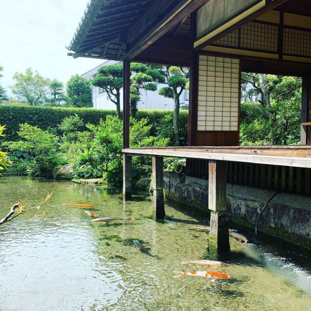 Feeling koi? The spring water that flows through the old castle town of Shimabar...