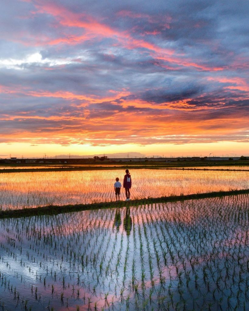 Magic hour contemplations 
People have been looking at sensational sunsets over ...
