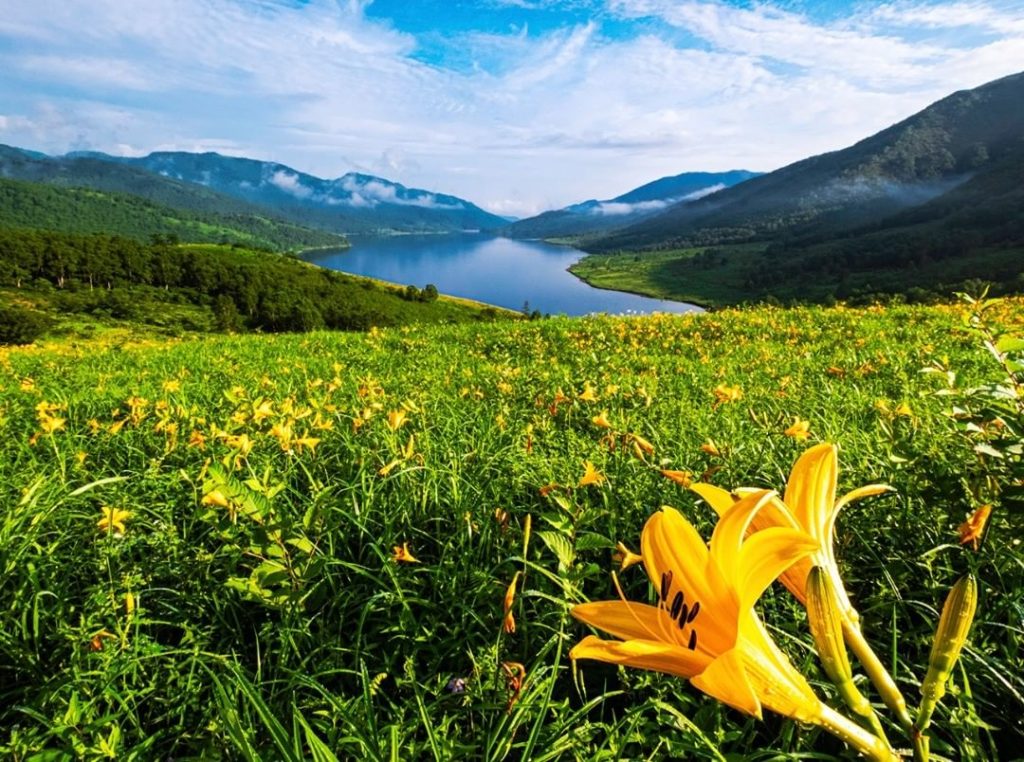 Japan Airline: .
Also known as the heavenly lake, Lake Nozori.
The beauty of the yellow daylili… .
Also known as the heavenly lake, Lake Nozori.
The beauty of the yellow daylili...