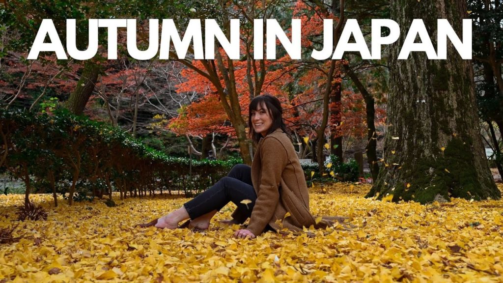 AUTUMN IN JAPAN 2020!! Autumn leaf hunting: momijigari on Miyajima Island, Island of the Gods