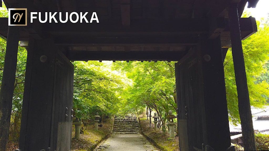 【FUKUOKA】Asakura Akizuki  (Little Kyoto)Walking Tour 2 筑前の小京都、朝倉・秋月を散歩2【4K】 【FUKUOKA】Asakura Akizuki  (Little Kyoto)Walking Tour 2 筑前の小京都、朝倉・秋月を散歩2【4K】